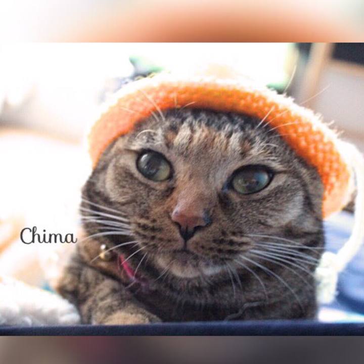 24f557bd 8963 4c74 b6f3 572592825e12