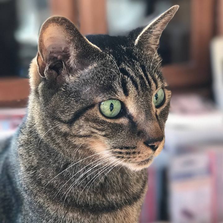 24f5d938 eea0 46fb 900b 5dab2bc8e027