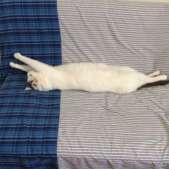 24f60267 1891 4ce2 bd15 4d74c0ad5248