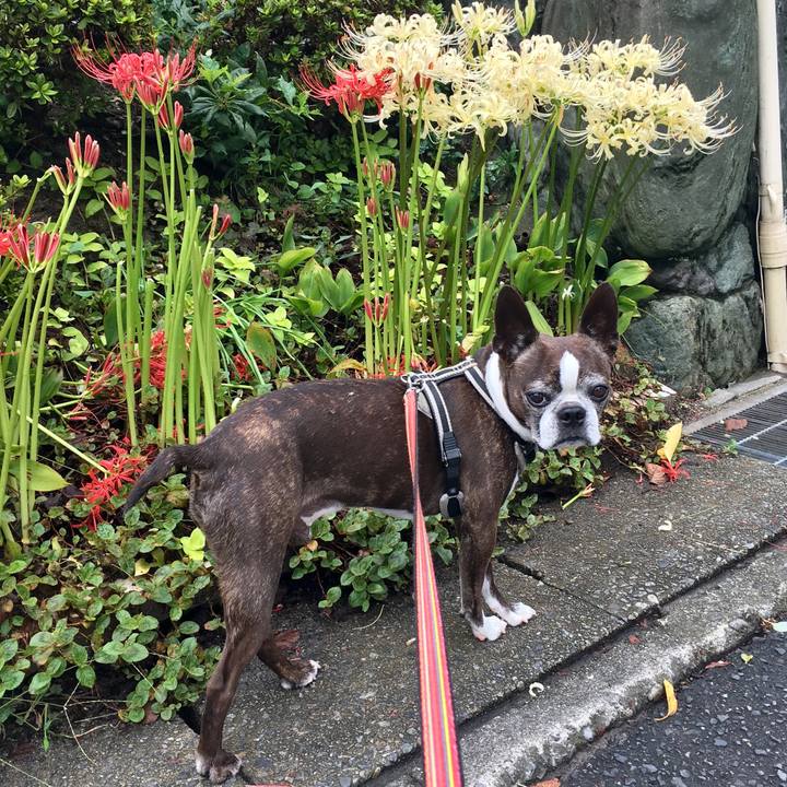 24f65f42 a39b 4194 9a64 5cb1812157a7