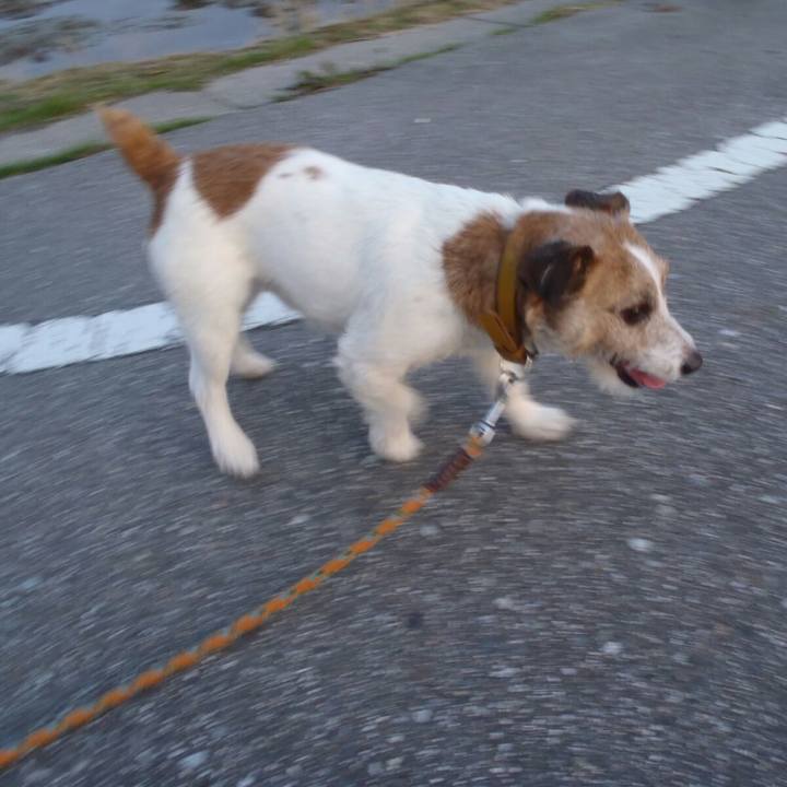 24f6621e 405e 4e3d 86b8 f044d4b63211