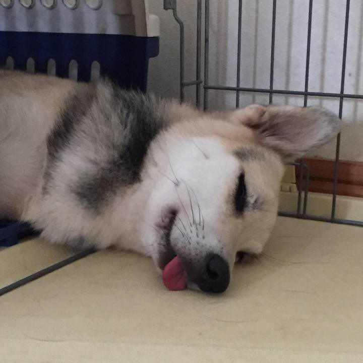 24f67819 759e 403f 9c1c c95b024617b5