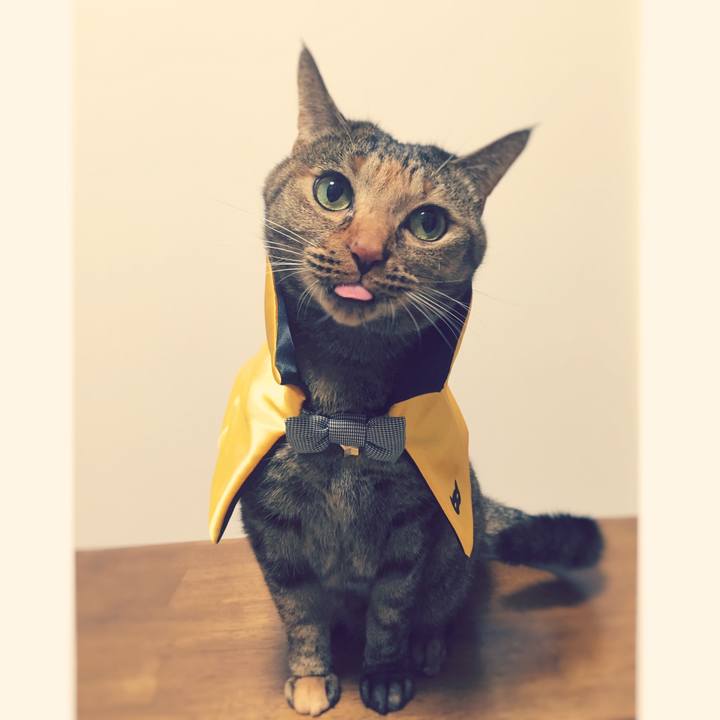 24f6f87f e3bb 4d7a ac46 e198a81655f3