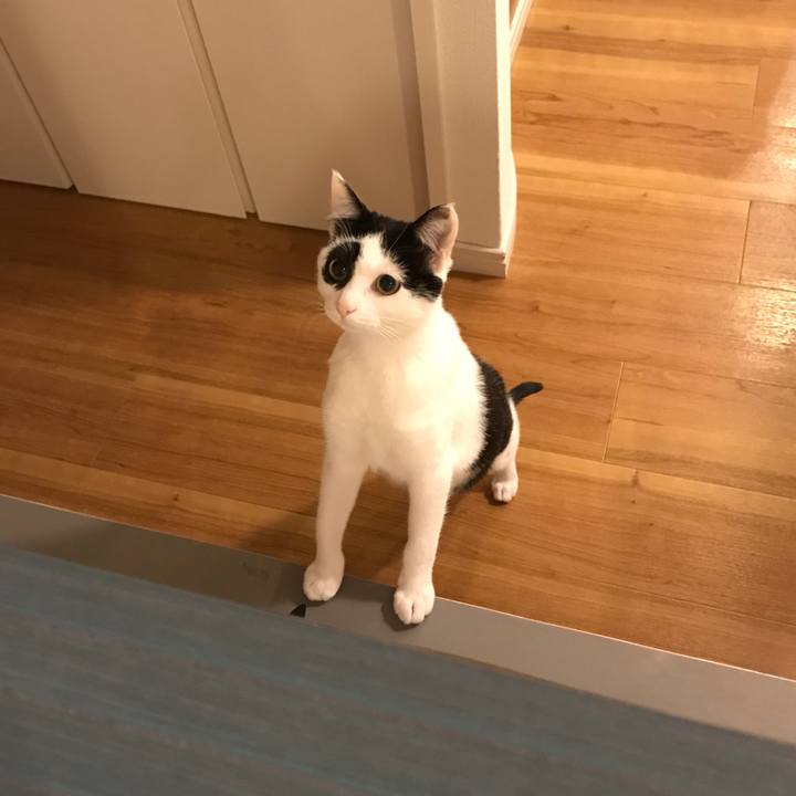 24f75c40 c84e 4bea 8844 28b5c4545f48