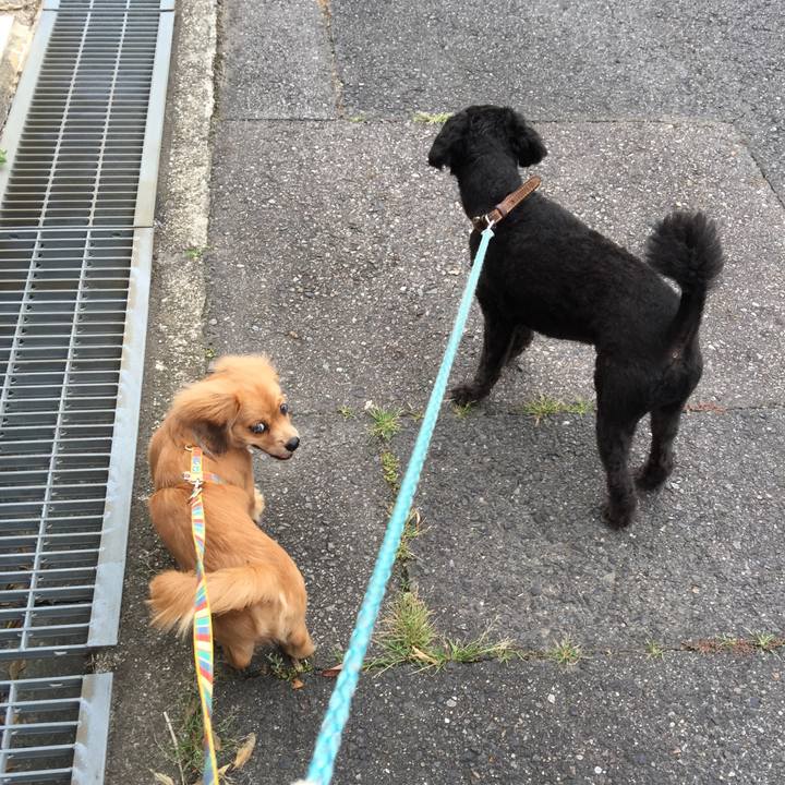 24f770b8 6a16 405f a93e 95f1ffb6af8a