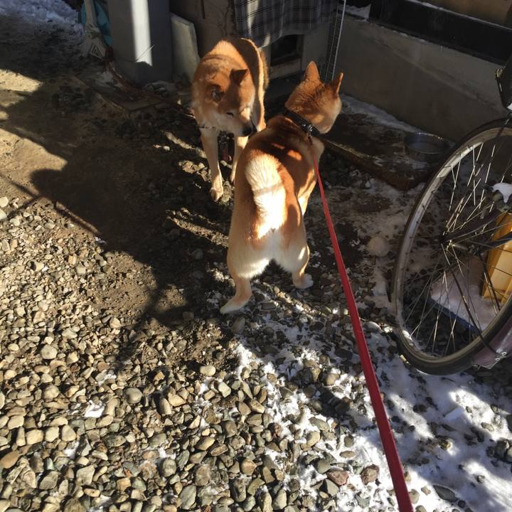 24f8027e e33a 4109 9f29 c7bfd07a8159