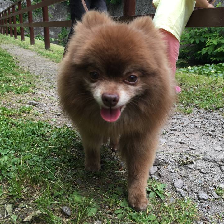 24f92dc3 46cc 499c b610 b1ffae91b7c8