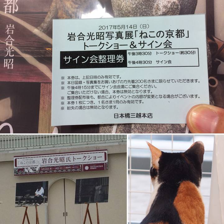 24f9af0e 657e 4e0c ba36 829dce59a53c