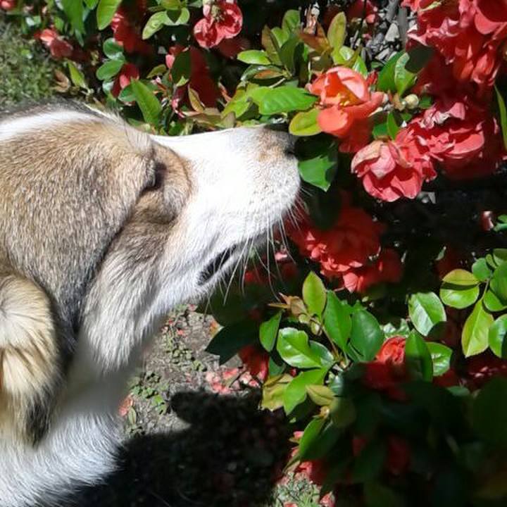 24fa4e0f 0b1e 4c21 b163 3237f72f9372