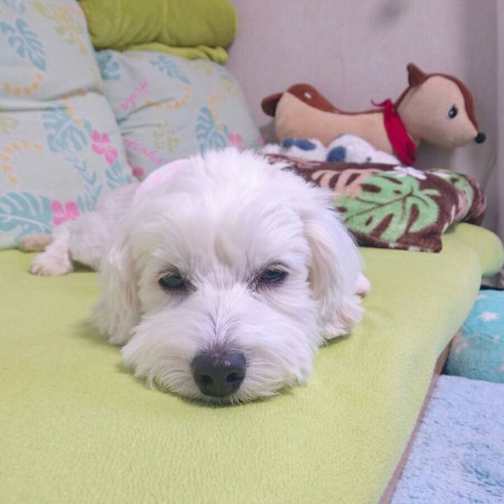 24fa6266 ec62 4c5e 93e9 a5cd8326beef