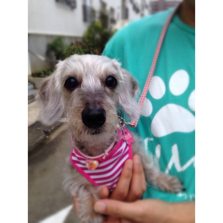 24fa67d4 d9c3 4711 be85 66d138a6aa60