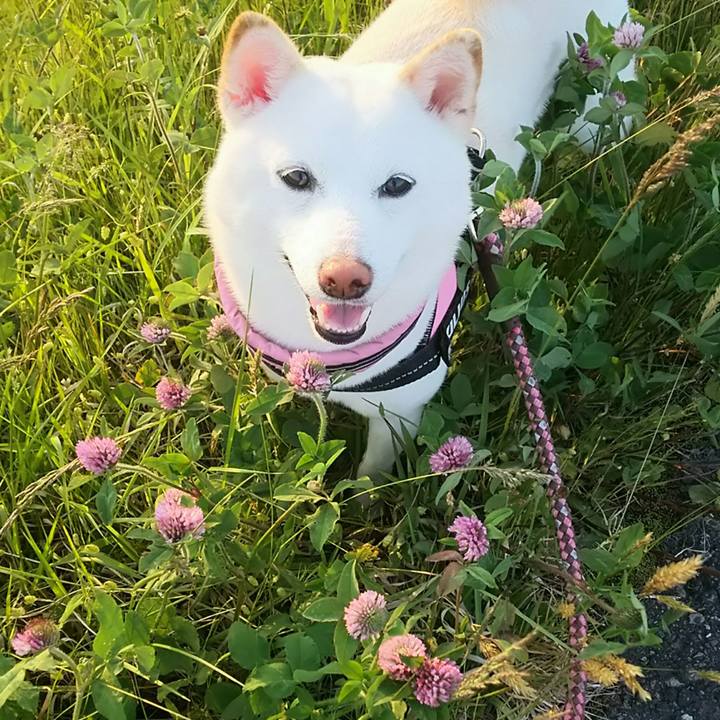 24fa87f7 5879 40a0 acda 1fbaf375c34f