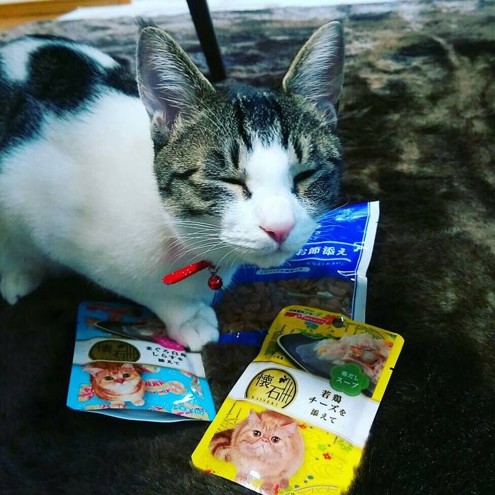 24fa8fca 5eab 4df8 974a 88951635dfec