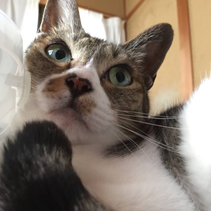 24fabfe4 1576 4fbb 8d92 d35642088fdb