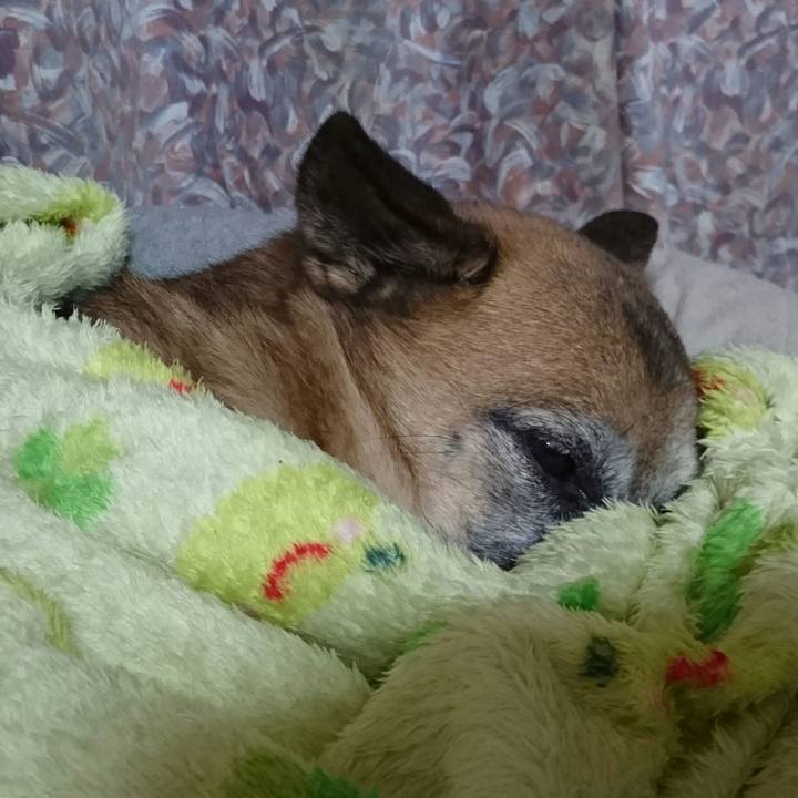 24fad4e6 b51a 4f10 b805 97bdbd9191be