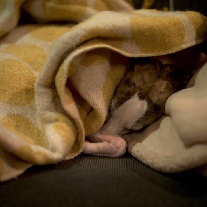 24fb1584 e2c9 48e3 982b b9feed557208