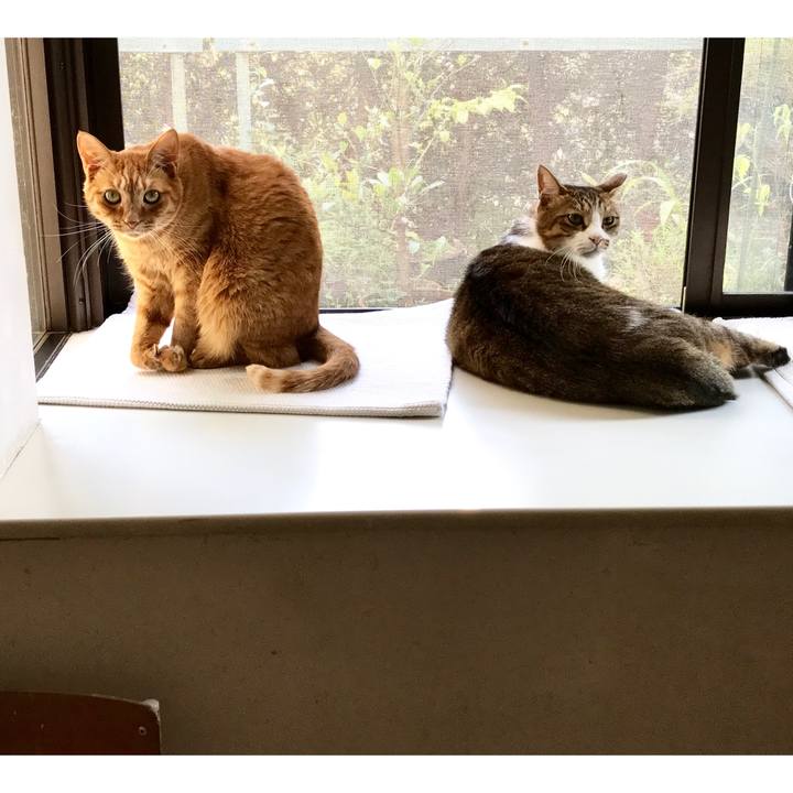 24fb2efb a512 48b7 b75f 384156dc54be