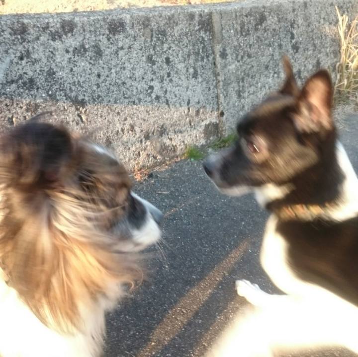 24fb87a2 8e55 4c77 acdc 973ce40c353f