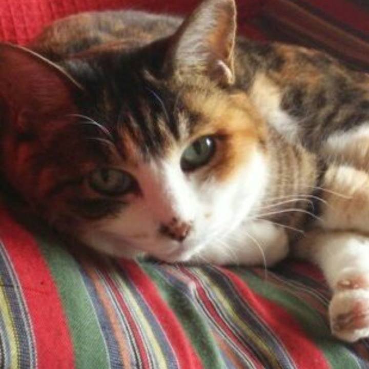 24fbeeee bd42 4b29 9dca 1af7e50cbe98