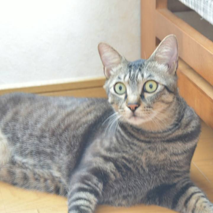 24fc1e95 403e 4ce4 912b ff210aade221