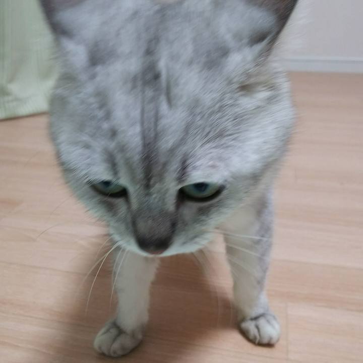 24fc8ae6 62da 4586 bb5e a375772795d2