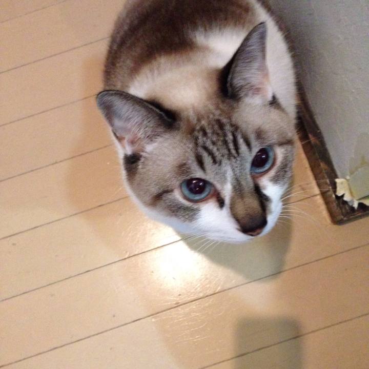 24fe164a 15d6 4260 b109 9a1cc5d5530c