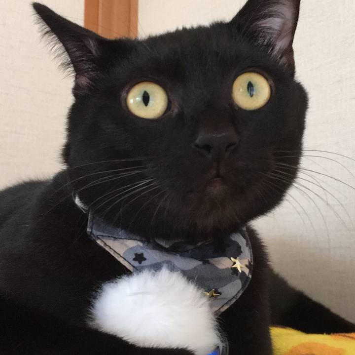 24fe6529 d14e 4531 bfed 4c4781e163d1