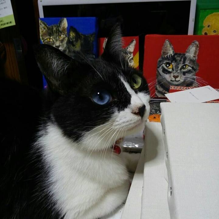 24fe7aab 6d3f 4951 a236 7d8329f427b4