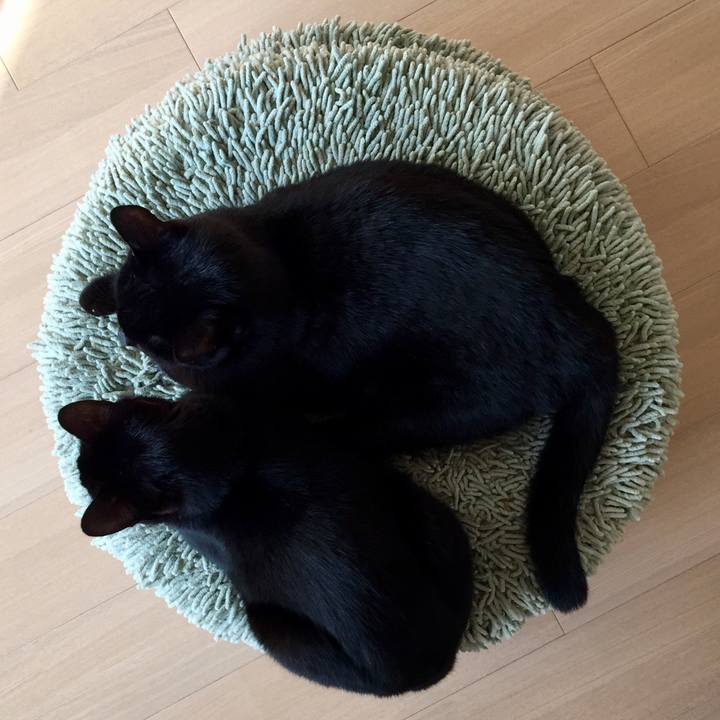 24feed2b 2496 4944 bde6 13914bfe4eb0