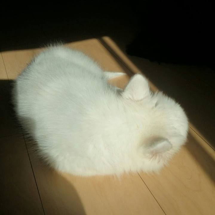 24ff3892 3d88 4524 8130 c3cb80899baa