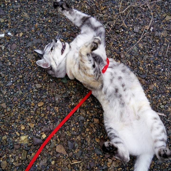 25007d52 d949 4137 80db d2573bc20d03