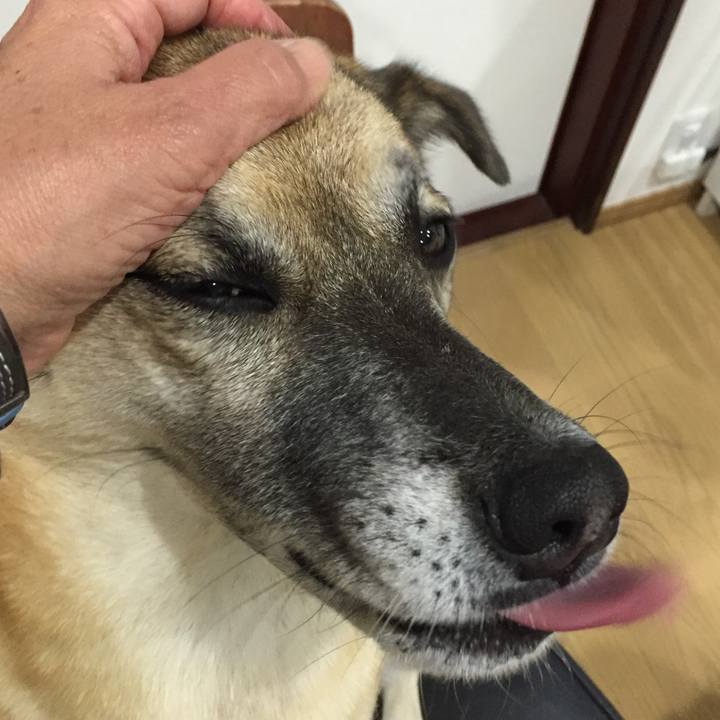 2500a420 493a 4ff0 8be9 9484ed7b01c9