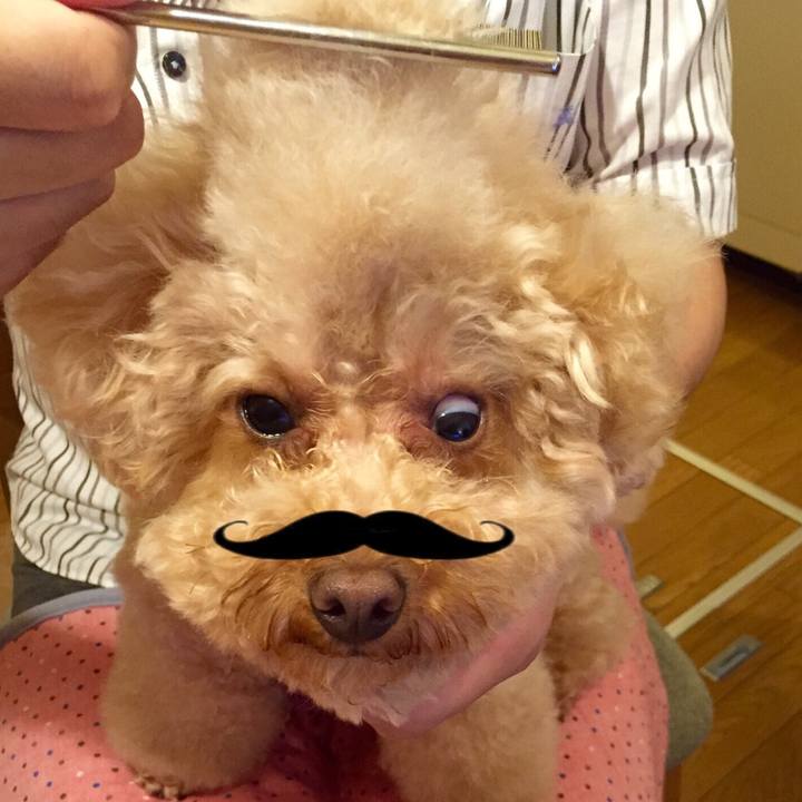 2500e16a fb55 466a a00a 03ca3af936c9