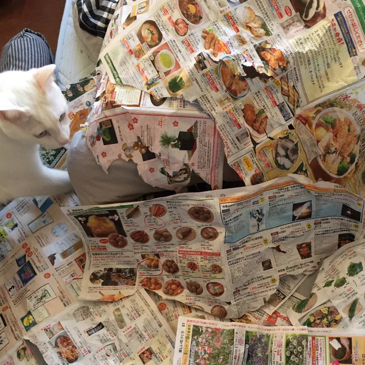 25017ef3 a6c8 4479 b624 2dd2790be078