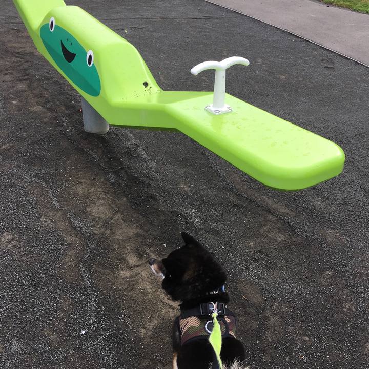 250183be 9d4f 4478 999a 7bf3ac5f2e0f