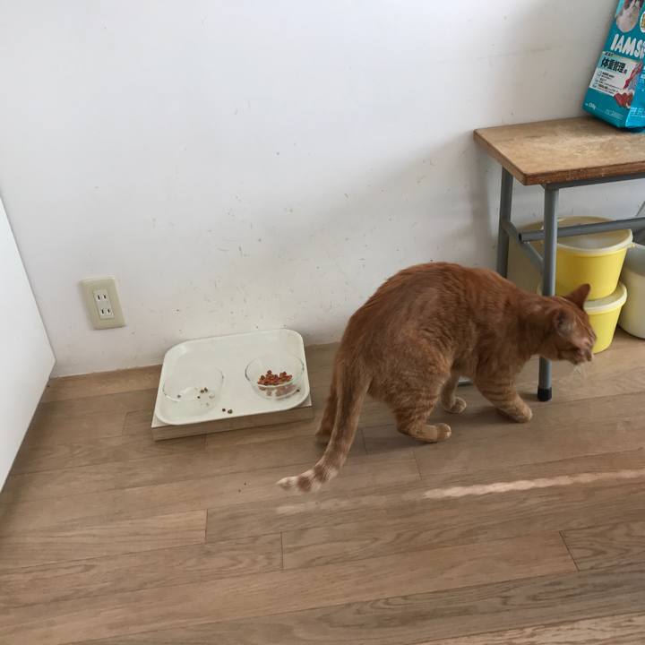 25019f1e 165f 411e 852a f3652615191d