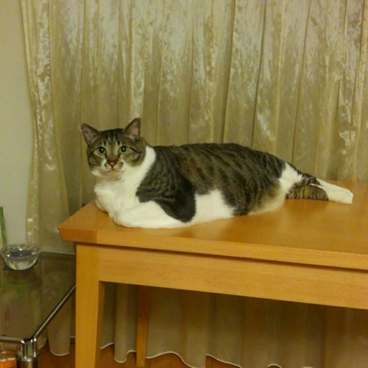 2501d7b0 277a 427b 94c7 17480366aa2f