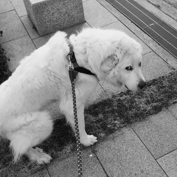 25028840 be74 43f1 b170 c92e4dc1c6e3