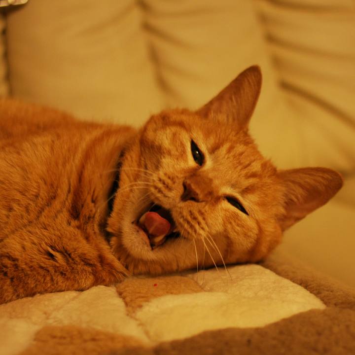 250323a3 fc00 4357 8dec a56b54fd8961