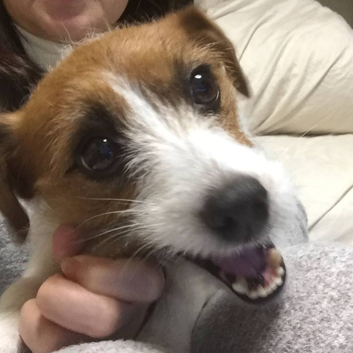 25034d09 69f2 47fa a513 3335d4214a8b