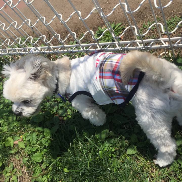 2503e36d ed3c 4b08 8401 22f536e3c535