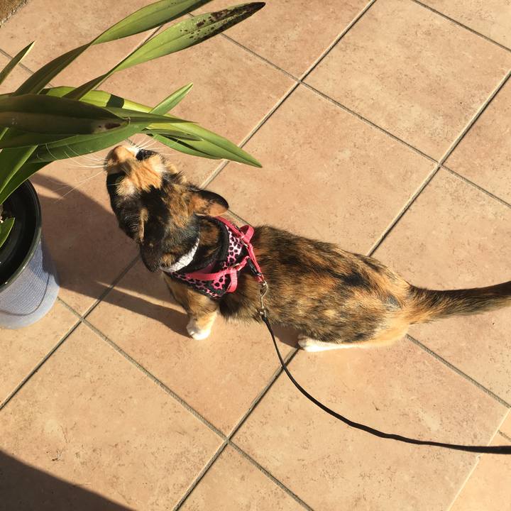 250413d5 fe77 4d69 a444 96f8f04545f5