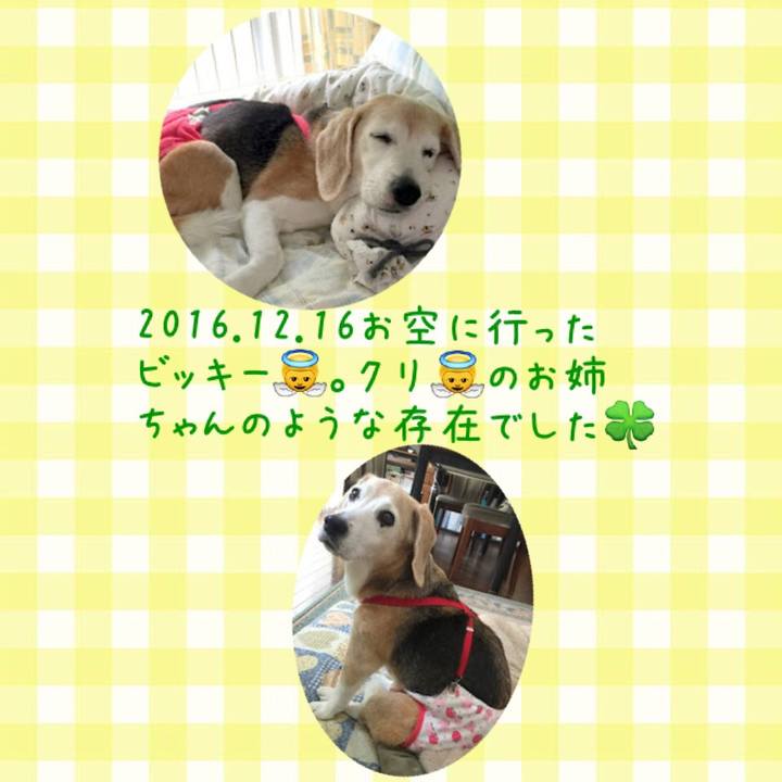 2504c7cc 2af8 4702 8144 23760cf0f503