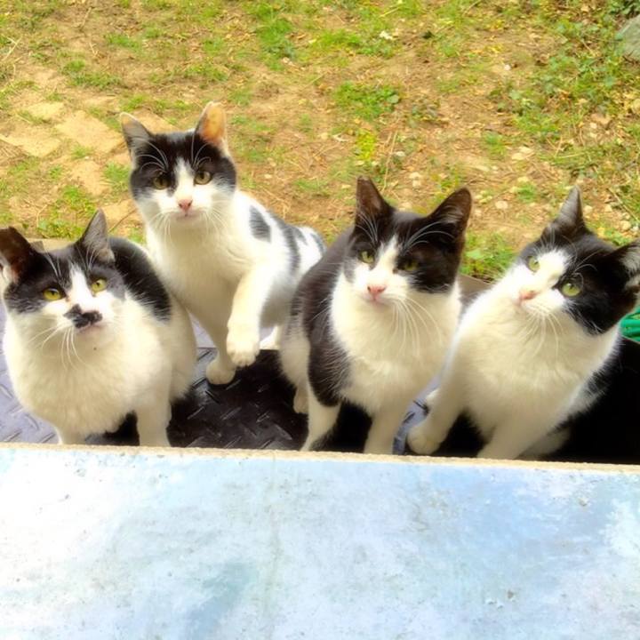 2504e24d e2c8 4c6c 8f1b 65cce16891b6