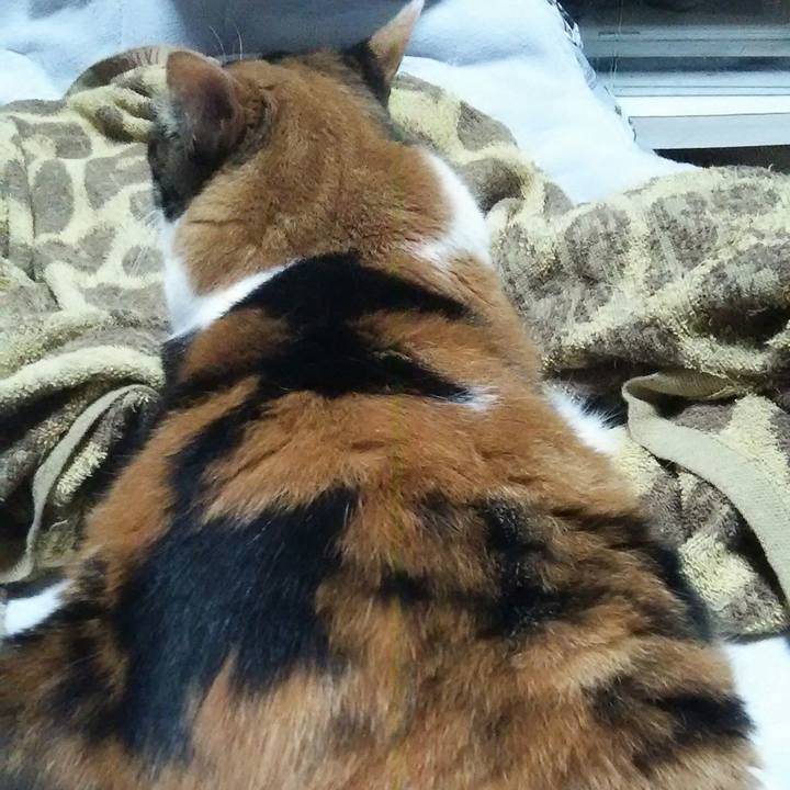 25052314 de37 48b8 97f4 25b86c693d17