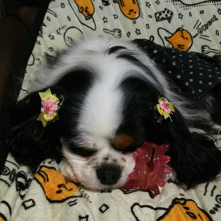 25052ffd 6eff 42d1 ace9 2b9e0f8583cf