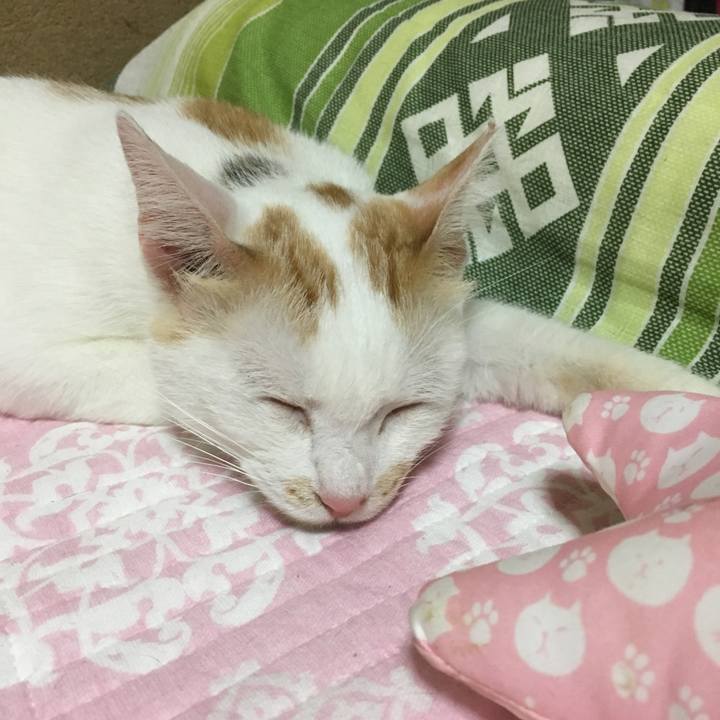 2505948b dc70 42f4 af0e ce881147341d