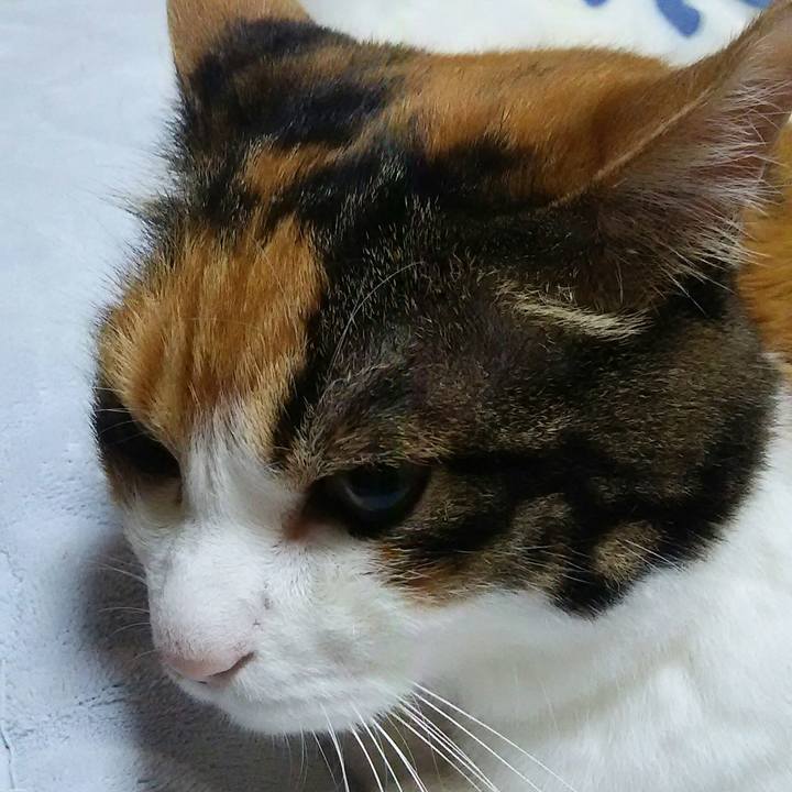 2505a2a6 6f9b 47f3 b8ca 4704b1ad8fde