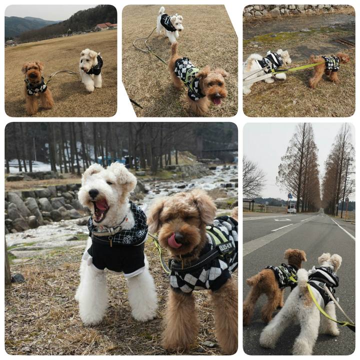 25061155 41c7 4186 8ba2 5b6edba97667