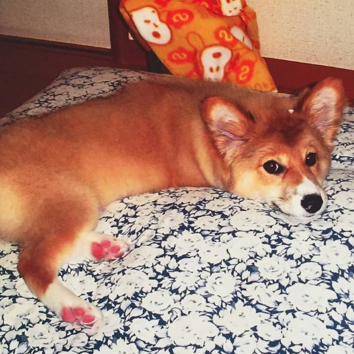 250663db 897f 4acd bb6f 67e43ed74b1d